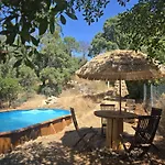 Homestay szállás Oku *