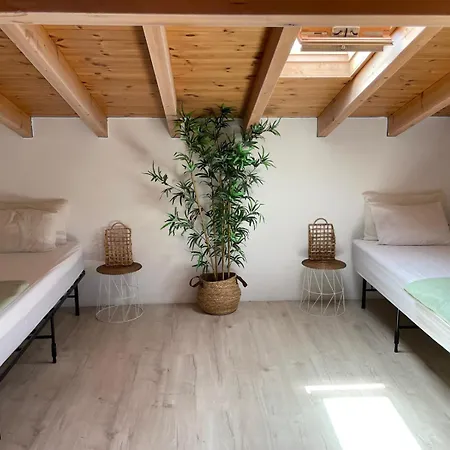 Oku