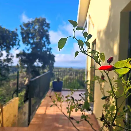 Séjour chez l'habitant Oku Monchique