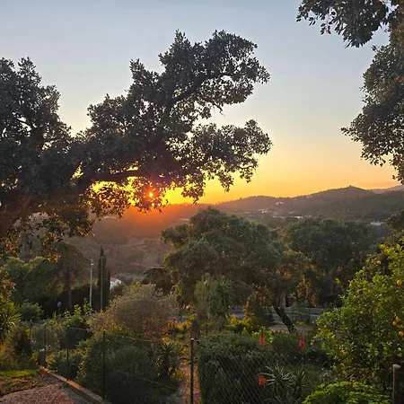 Oku בית אירוח