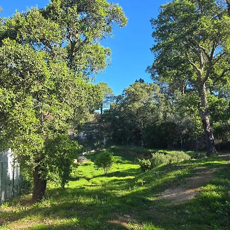 בית אירוח Oku *